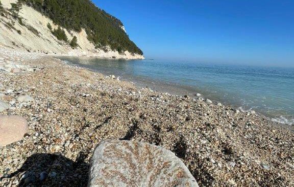 nel today mostriamo la suggestiva spiaggia dei Sassi neri ,icona della Riviera del Conero la suggestiva spiaggia dei Sassi Seri ,icona della Riviera del Conero